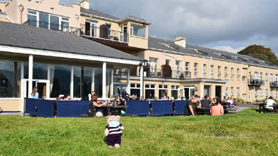 Travelling Bears 
				in Killarney