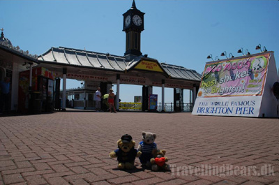 Travelling Bears in Brighton